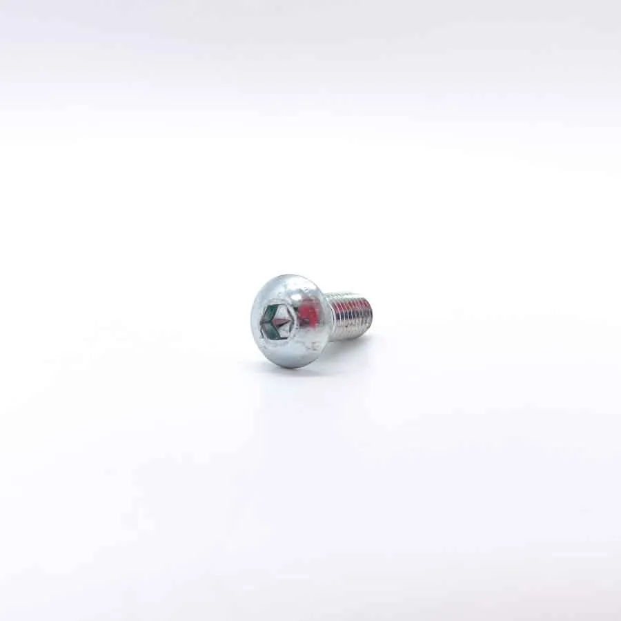 Linsenhalbrundschraube mit Innensechskant, M 8×20 mm – Foto