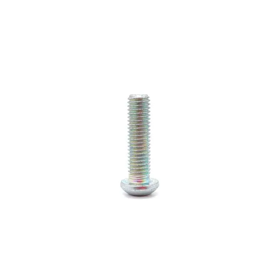 Linsenhalbrundschraube mit Innensechskant, M 8×30 mm – Foto